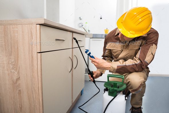 disinfestazione 19 - Home