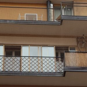 59 - I nostri lavori di allontanamento volatili