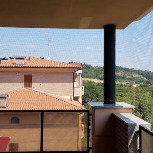5 - I nostri lavori di allontanamento volatili