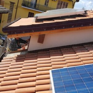 11 - I nostri lavori di allontanamento volatili