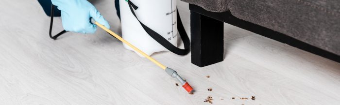 disinfestazione 23 - Home