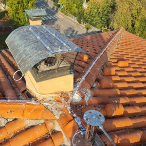 85 - I nostri lavori di allontanamento volatili