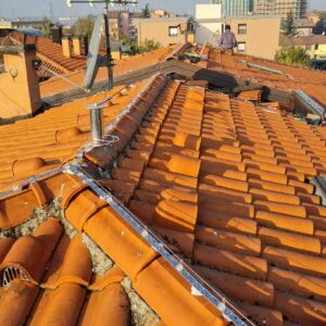95 - I nostri lavori di allontanamento volatili