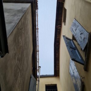 97 - I nostri lavori di allontanamento volatili
