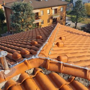 89 - I nostri lavori di allontanamento volatili