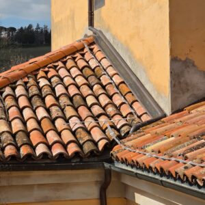 135 - I nostri lavori di allontanamento volatili